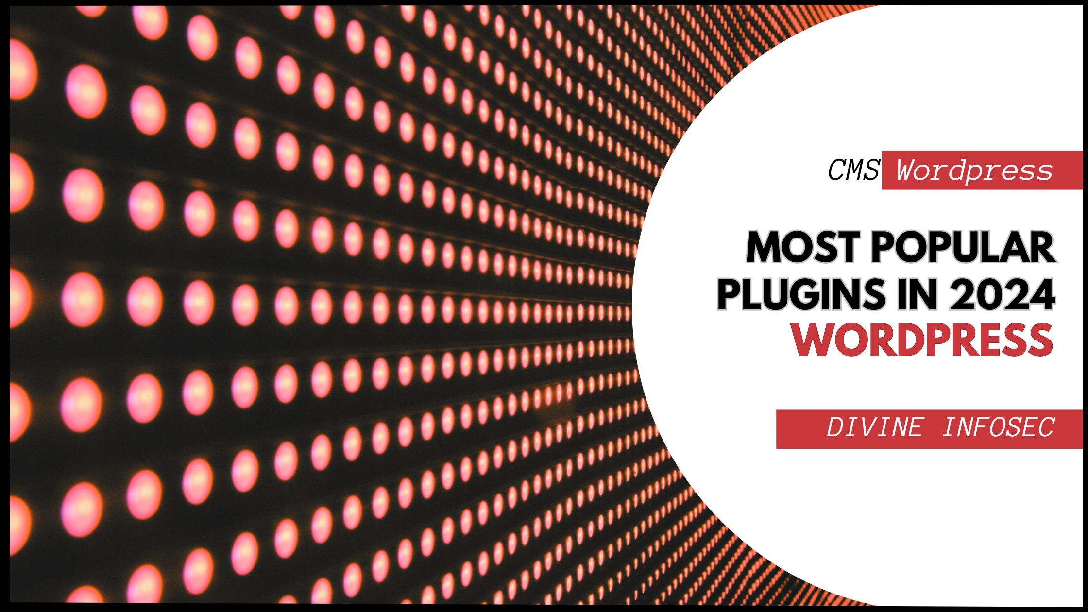 most popluar wordpress plugins in 2024